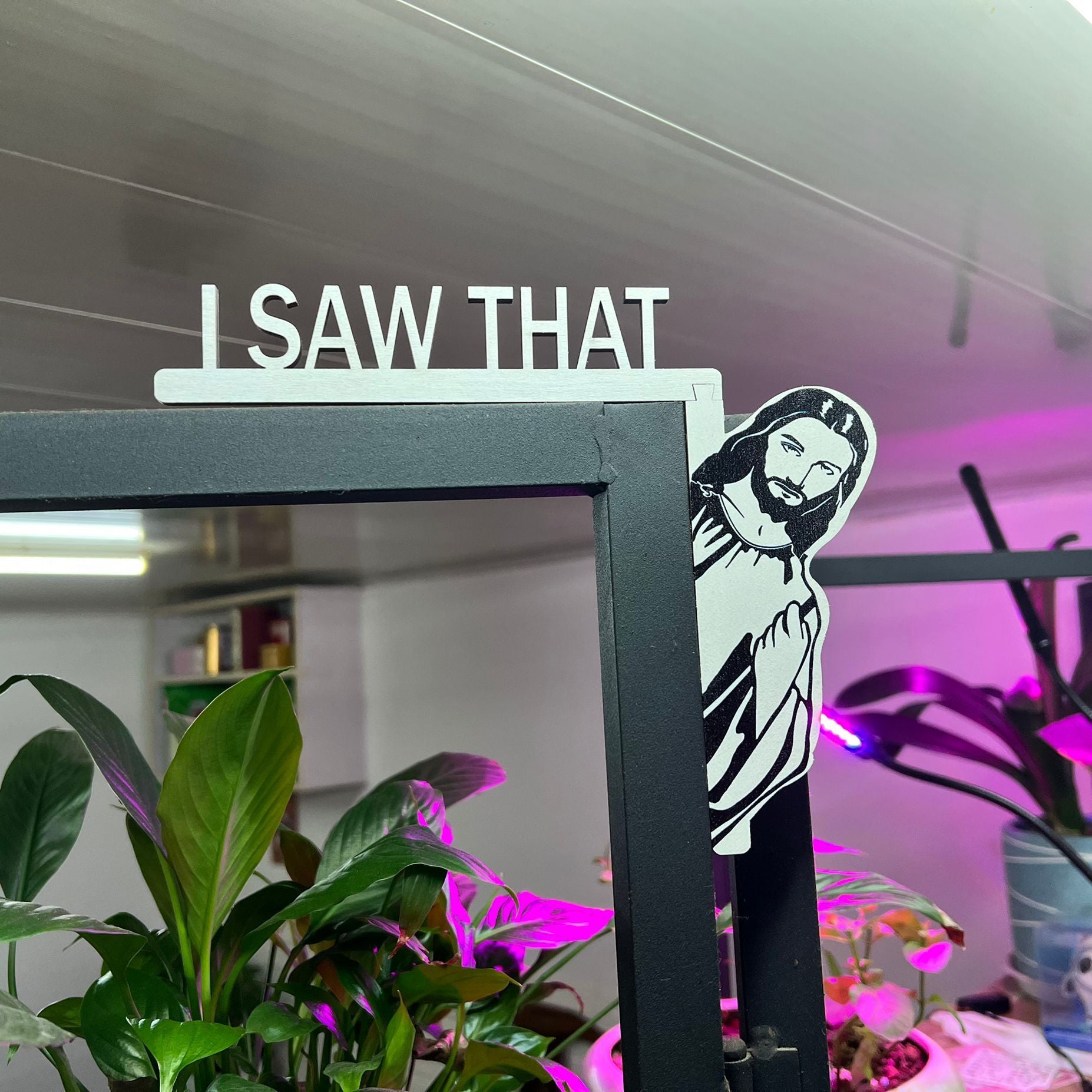 I Saw That Door Sitter Frame Decoration Crafts